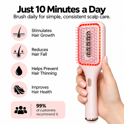 Prova & Co Scalp Brush